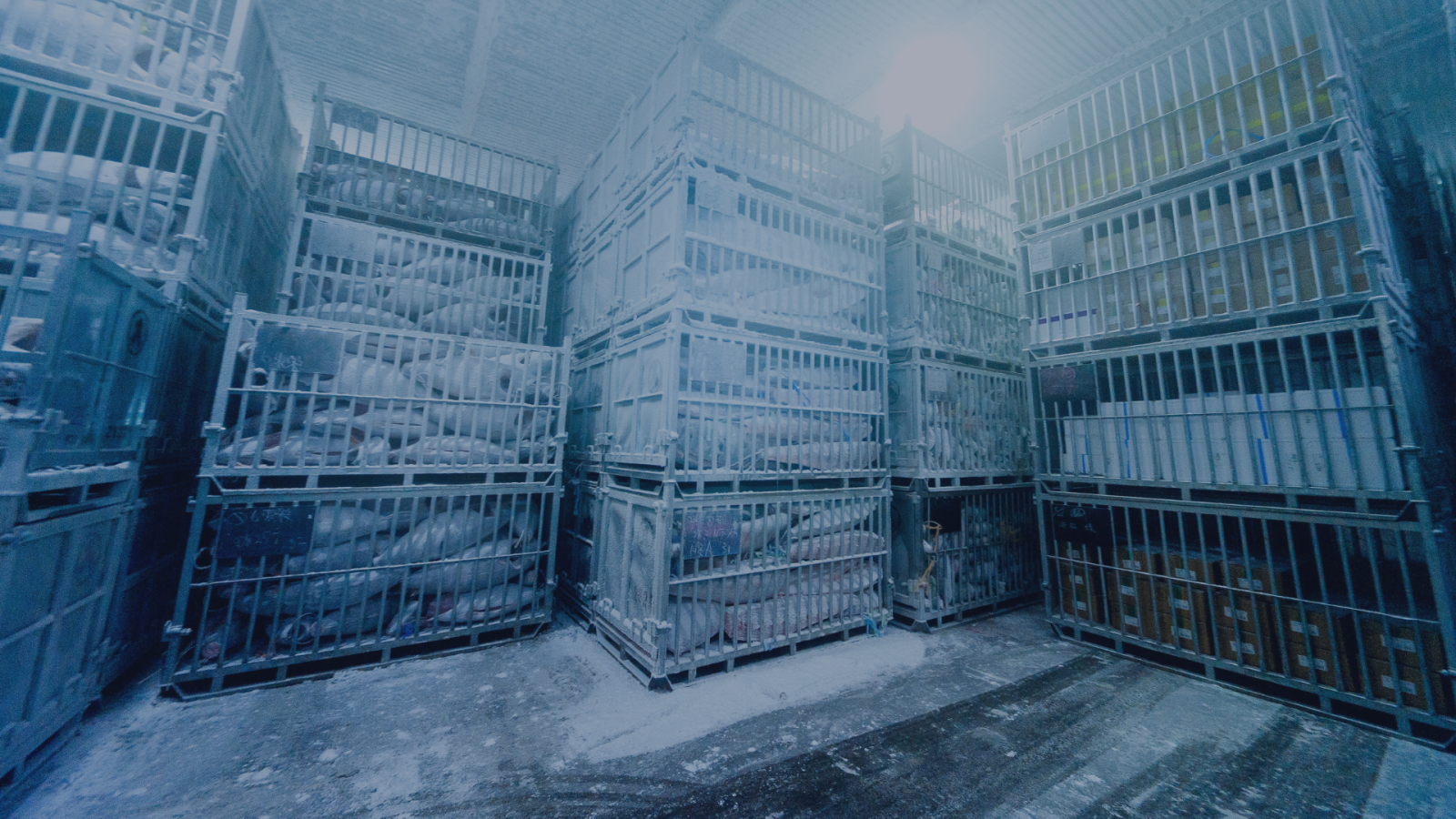 Can an Air Curtain Reduce Cold Store Energy Costs?